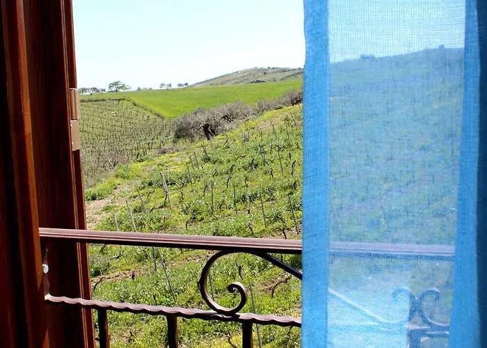 Agriturismo La Casa Di Bacco