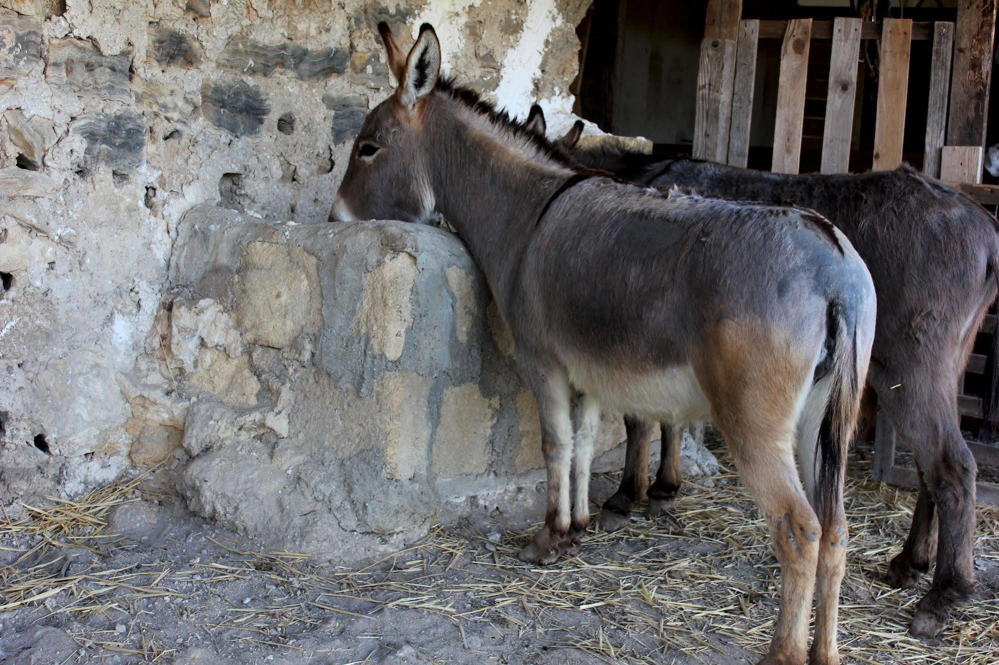 Bauernhof La Casa Di Bacco *