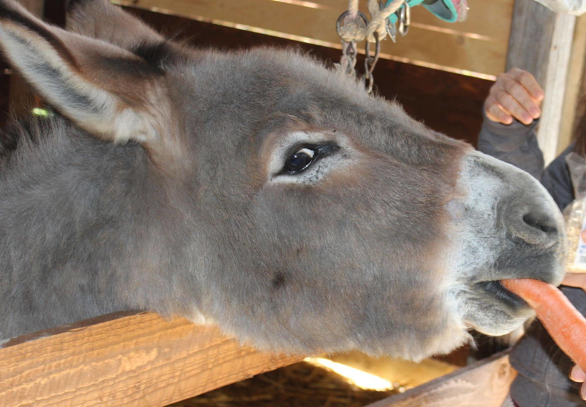 La Casa Di Bacco Bauernhof Agrigent