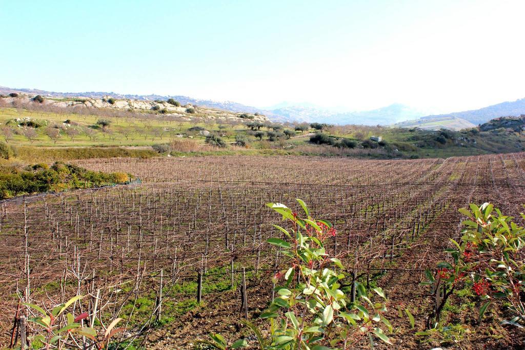 La Casa Di Bacco Alojamento de Turismo Rural