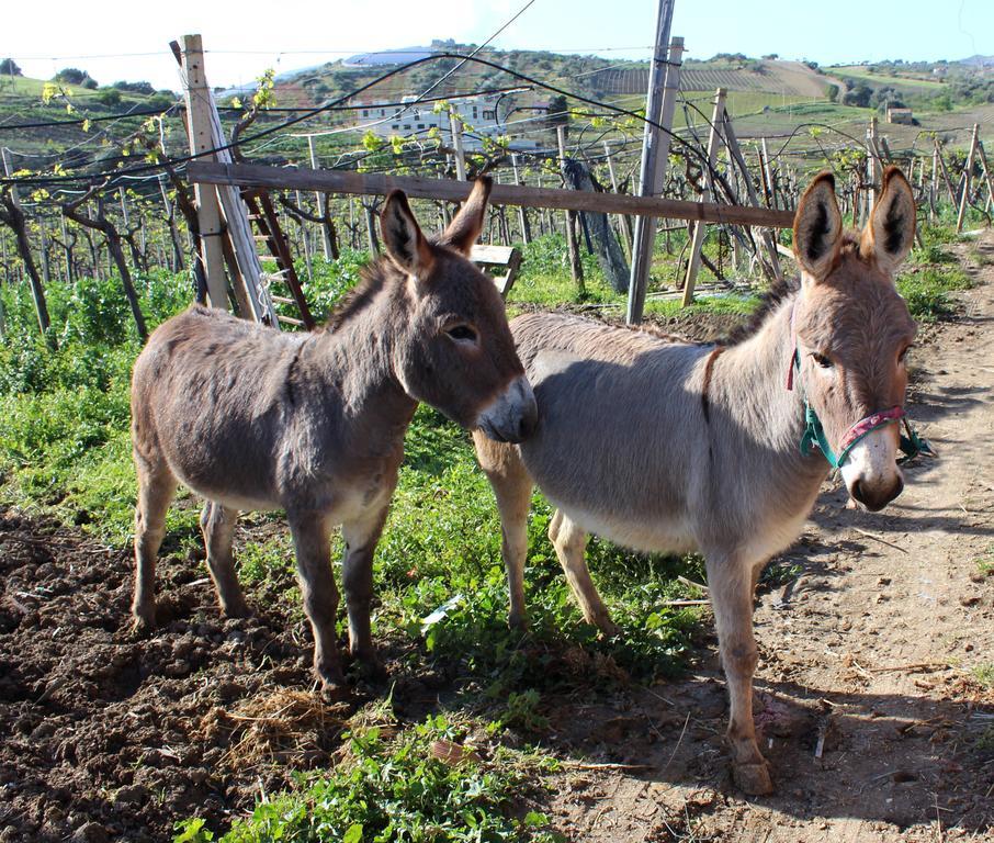 La Casa Di Bacco Alojamento de Turismo Rural *