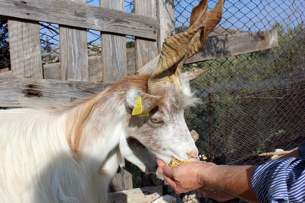 Alojamento de Turismo Rural La Casa Di Bacco *