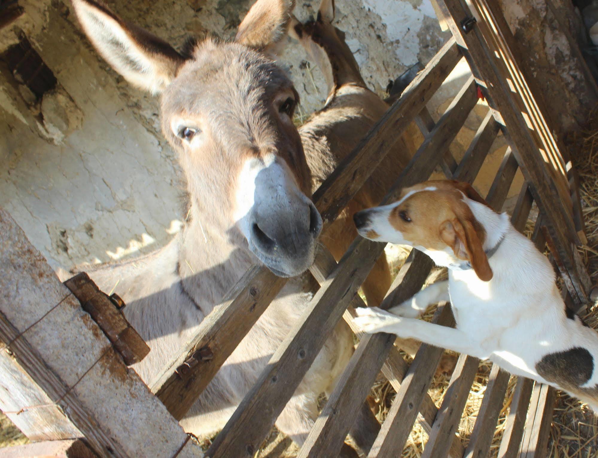 Alojamento de Turismo Rural La Casa Di Bacco
