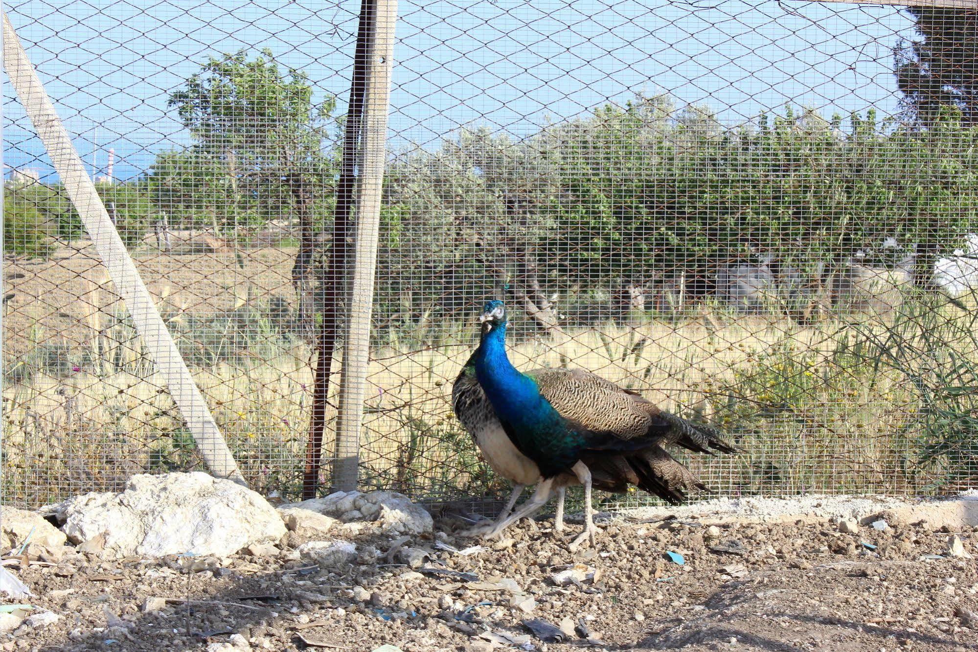 Alojamento de Turismo Rural La Casa Di Bacco *